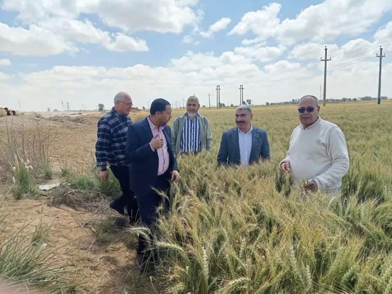 جانب من الجهود