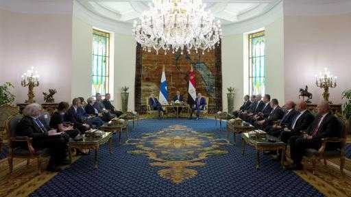 الرئيس السيسي: نستهدف تطوير العلاقات الاقتصادية والتجارية مع فنلندا