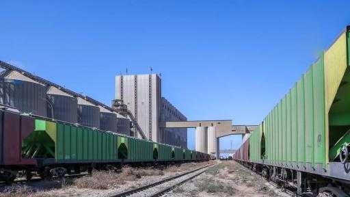 تضم ذرة وقمح وفول.. ميناء دمياط يستقبل 70364 طنًا من البضائع