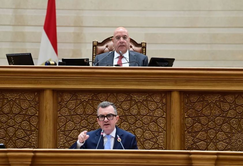 وزير التخطيط