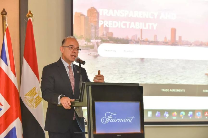 وزير الاستثمار