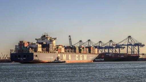 تضم ذرة وقمح وصويا.. ميناء دمياط يستقبل 67737 طنًا من البضائع