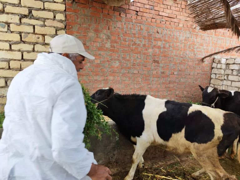 جانب من أعمال الحملة