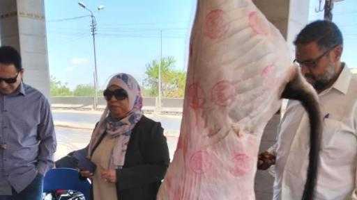 ”الزراعة” تكثف حملاتها الرقابية لمواجهة ذبح البتلو| صور