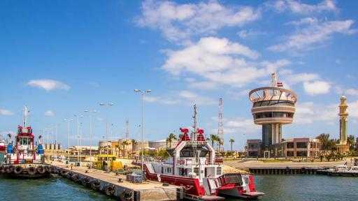 تضم ذرة وقمح وحديد.. ميناء دمياط يستقبل 65183 طنًا من البضائع