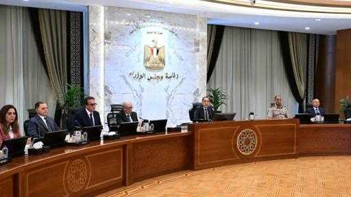 مجلس الوزراء يُخصص 4 قطع أراض بقنا لصالح ”حياة كريمة”