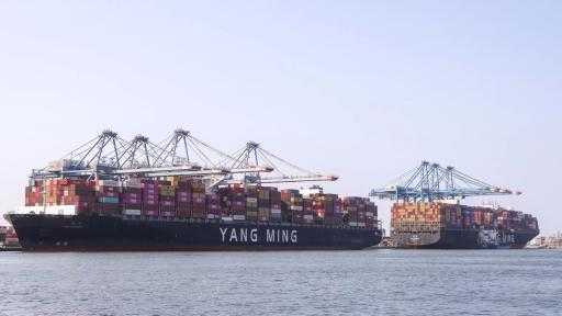 تضم قمح وذرة وزيت.. ميناء دمياط يستقبل 76255 طنًا من البضائع