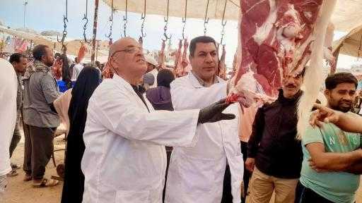 خلال أبريل.. ”الخدمات البيطرية” تضبط 190 طنًا من اللحوم ومنتجاتها غير المطابقة للاشتراطات الصحية| صور