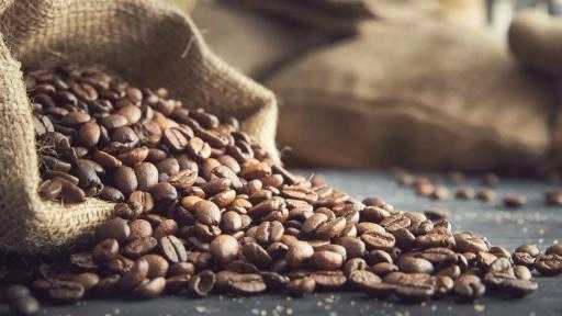 ارتفاع صادرات فيتنام من البن 16% على أساس سنوي إلى 810 آلاف طن