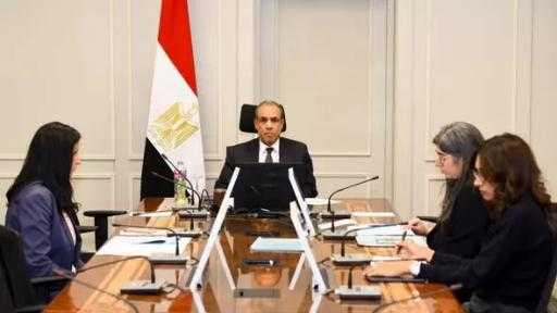 وزير الخارجية: التعاون مع ”الصندوق العربي للإنماء الاقتصادي” أثمر عن دعم مشروعات الطاقة والبنية التحتية