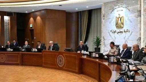 مجلس الوزراء: تعاقد ”سلامة الغذاء” مع مركز المعلومات لتحديث الاستراتيجية الوطنية
