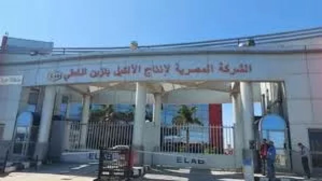 أرشيفية