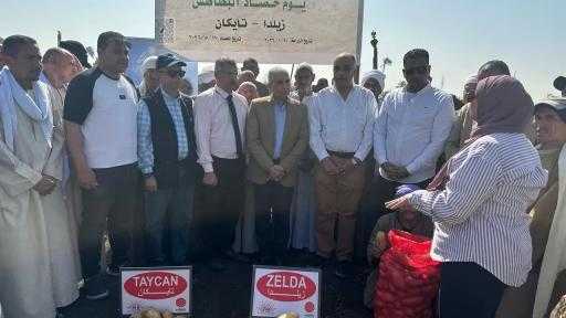”الزراعة” تنظم تُتابع نتائج الأصناف الجديدة للبطاطس المنزرعة بالمنيا| صور
