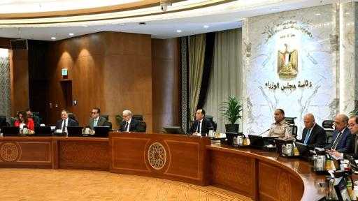 مجلس الوزراء يُحدد اختصاصات نائبي وزير الخارجية للشئون الإفريقية والتعاون الدولي