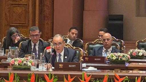 وزير الخارجية يقترح على ”بريكس” إنشاء مركز لوجستي للحبوب في شرق بورسعيد