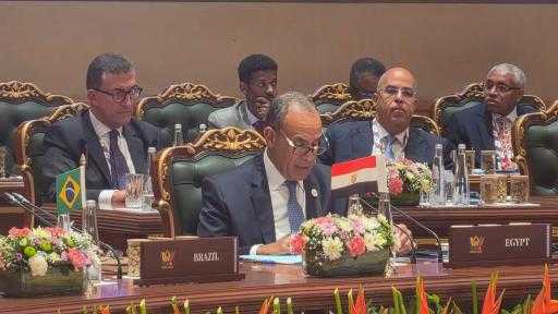 وزير الخارجية: يجب تعزيز التعاون بين بريكس والدول الشريكة بقطاعات الطاقة والتصنيع والتحول الرقمي