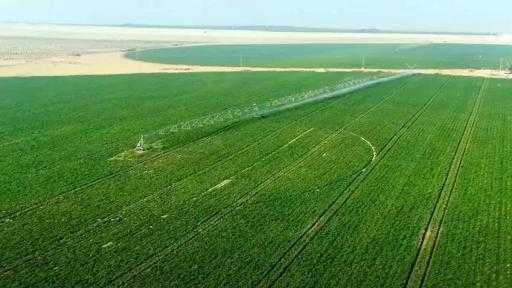 جهاز مستقبل مصر: الدلتا الجديدة تعادل أكثر من 20% من المعمور الزراعي... جهاز مستقبل مصر: الدلتا الجديدة تعادل أكثر من 20% من المعمور الزراعي التاريخي لمصر| إنفوجراف