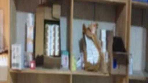 ضبط أدوية طبية ومنشطات مجهولة المصدر بمخزن بالشرقية