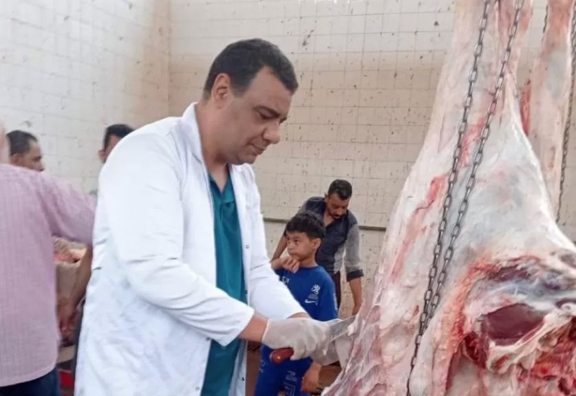 أعمال الذبح بالمجازر