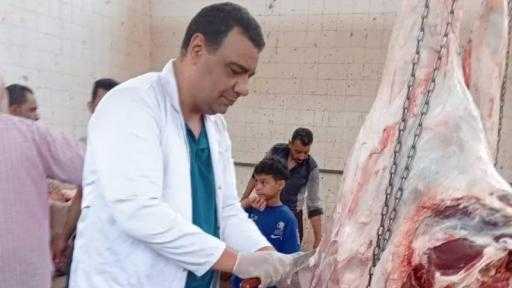 ”الزراعة”: ذبح 35.5 ألف أضحية خلال أيام العيد مجانًا بالمجازر الحكومية| صور
