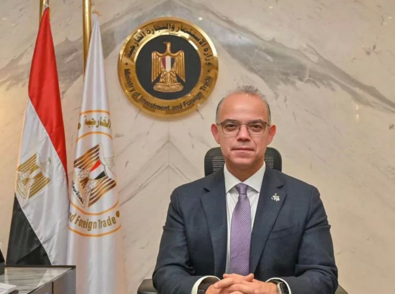 وزير الاستثمار