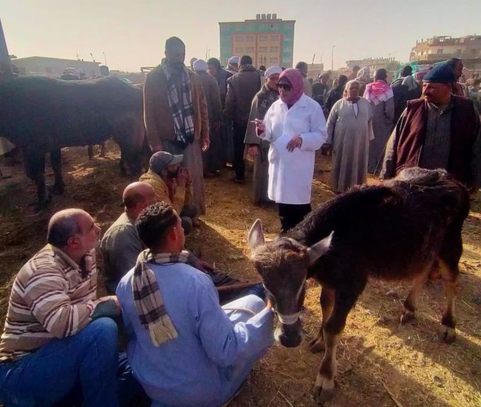 جانب من الجهود