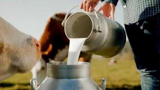 إنتاج قياسي للحليب في نيوزيلندا يتجاوز ملياري كيلوجرام
