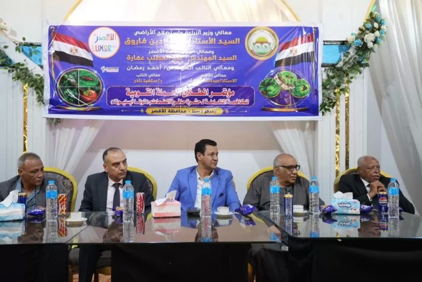 الفاعلية