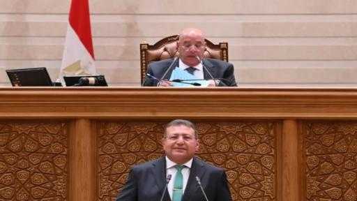 مجلس النواب يُوافق على قرارين بشأن اكتتاب مصر في زيادة رأس مال هيئة التنمية الدولية