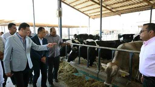وزير الزراعة: إنتاج اللحوم يقفز إلى 600 ألف طن.. وتحقيق الاكتفاء الذاتي من الألبان وتصدير الفائض