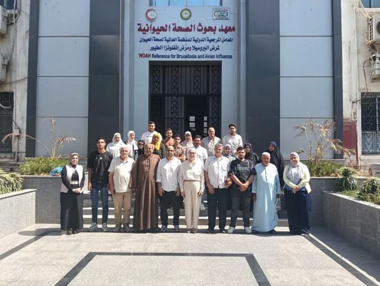المشاركون في الدورة