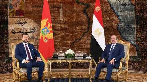 الرئيس السيسي: نحرص على تطوير العلاقات في المجال الاقتصادي وتنويع التبادل التجاري... الرئيس السيسي: نحرص على تطوير العلاقات في المجال الاقتصادي وتنويع التبادل التجاري مع الجبل الأسود