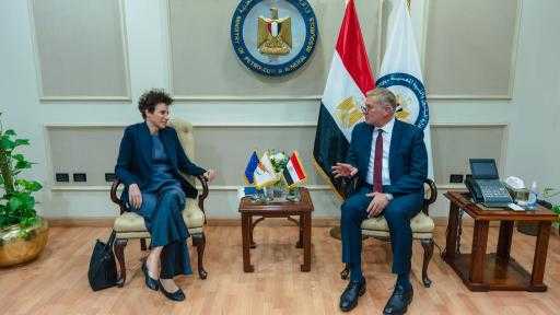 مصر وقبرص تبحثان تعزيز الشراكة بمجالي الغاز الطبيعي والتعدين