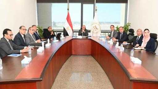 شركتان إيطاليتان: توافر الباجاس الناتج عن صناعة السكر في مصر فرصة لإنتاج الوقود الحيوي