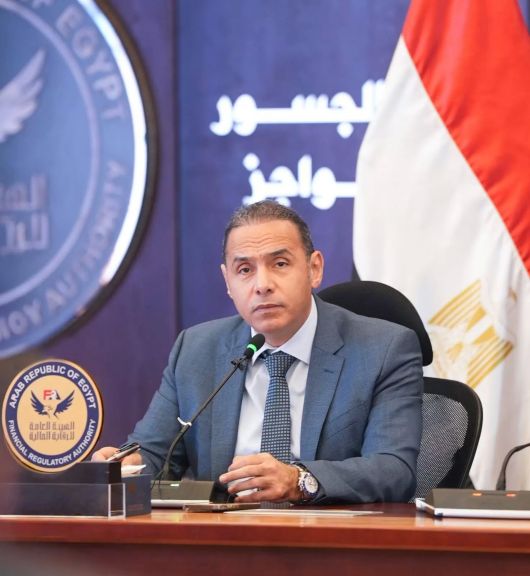 رئيس الهيئة العامة للرقابة المالية