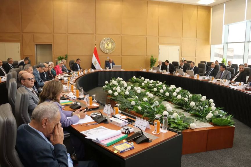 وزير الكهرباء خلال اللقاء