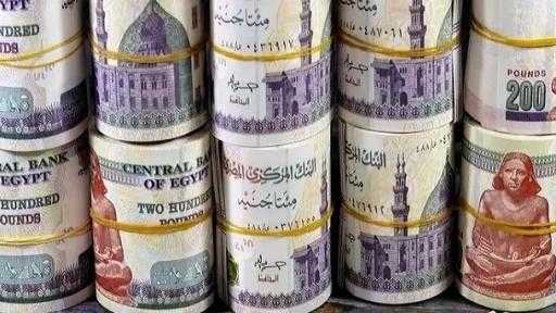 كيف تختار بين 5 شهادات ادخار متغيرة في البنوك المصرية؟