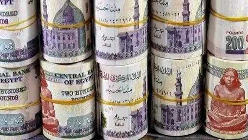 كيف تختار بين 5 شهادات ادخار متغيرة في البنوك المصرية؟