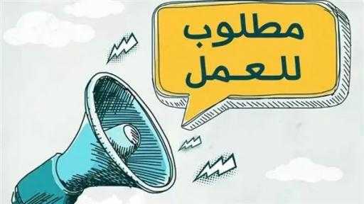«العمل» تعلن عن فرص عمل بالإسكندرية.. تعرف على التخصصات المطلوبة والشروط والمزايا «العمل» تعلن عن فرص عمل بالإسكندرية.. تعرف على التخصصات المطلوبة والشروط والمزايا