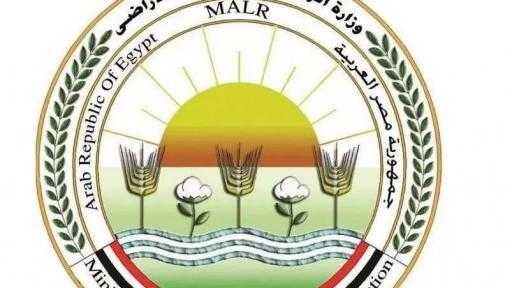 «الزراعة» تضبط 213 طنًا من اللحوم ومنتجاتها المخالفة خلال أغسطس
