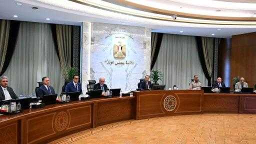 مجلس الوزراء يخصص 12.5 فدانًا لإنشاء صوامع غلال بسوهاج