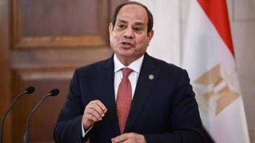 الرئيس السيسي يناقش التعاون مع مجموعة ”دانجوتي” في قطاعات الطاقة والأسمدة والكيماويات والأسمنت