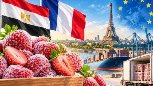 مصر تتصدر موردي الفراولة المجمدة إلى فرنسا بصادرات 20 ألف طن خلال 2025