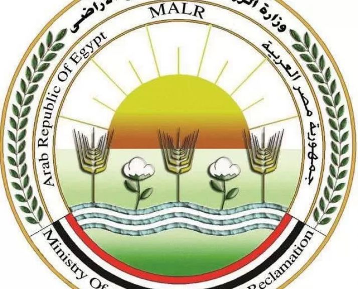 الزراعة