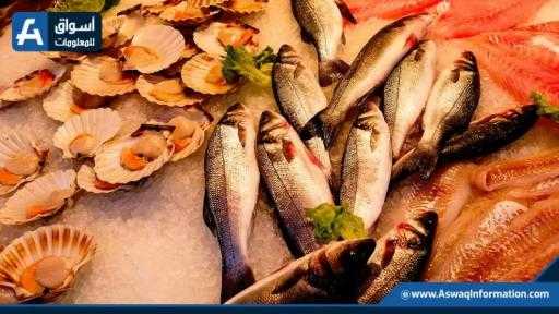 ارتفاع المرجان.. أسعار السمك اليوم الأحد بسوق العبور