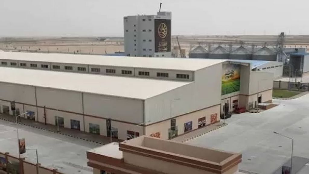 أرشيفية