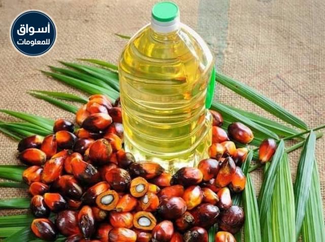 صورة أرشيفية- زيت النخيل