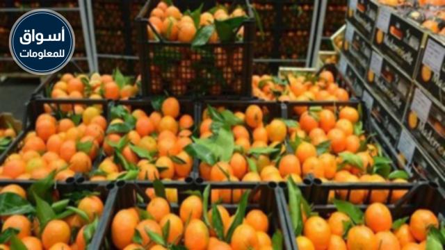 صورة أرشيفية _ الموالح