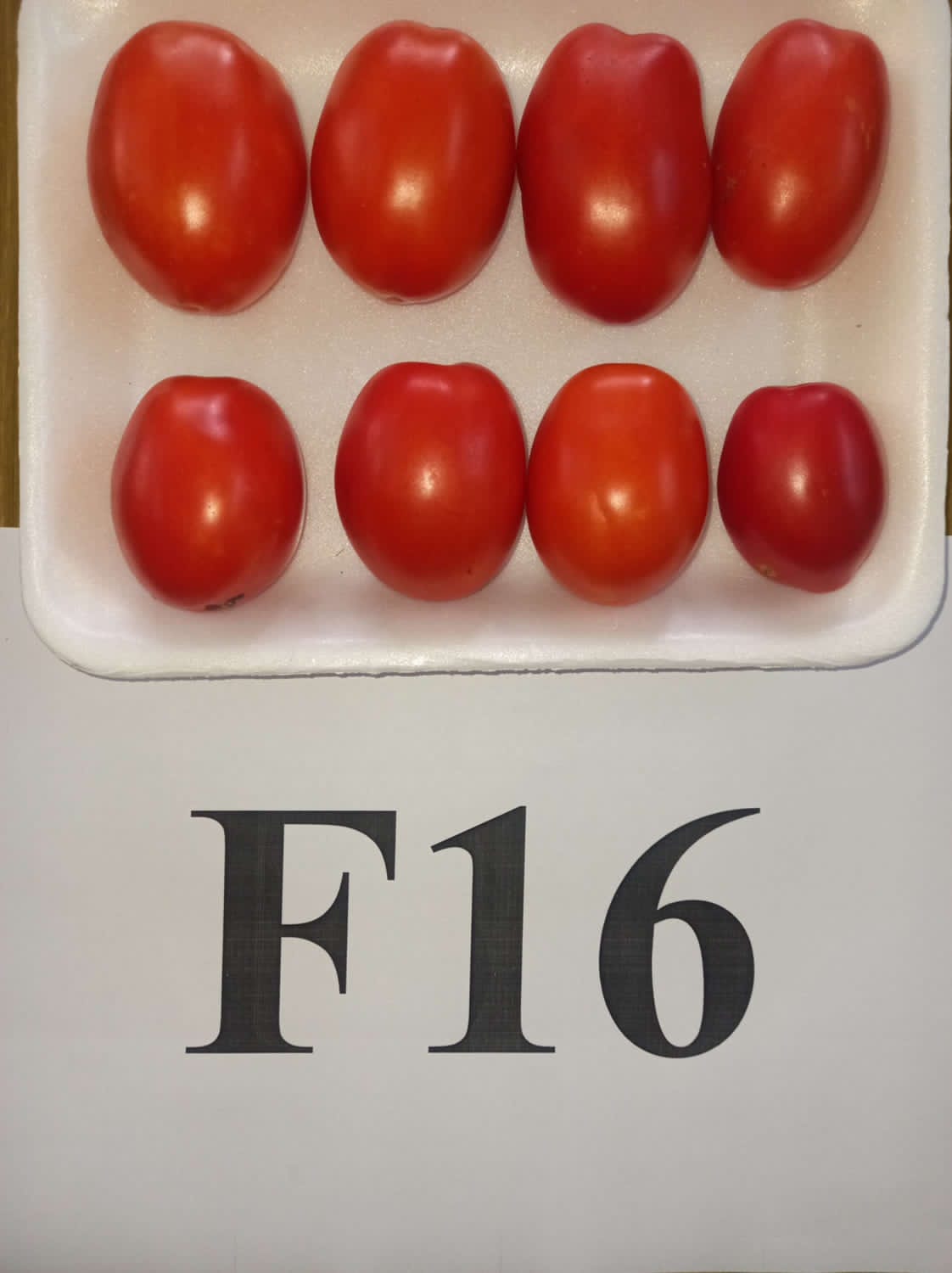 21fac19203ed.jpg