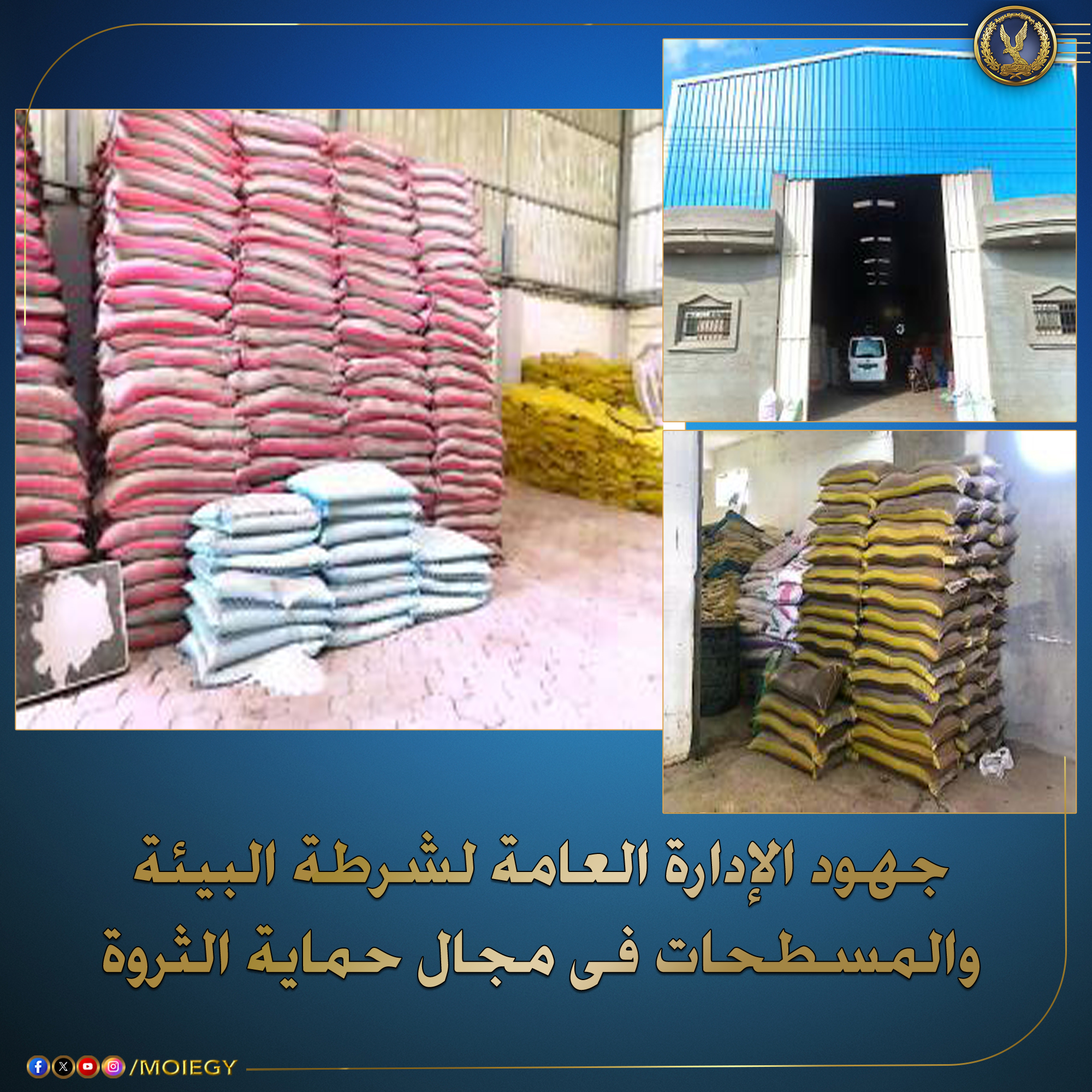fe5df232cafa.jpg